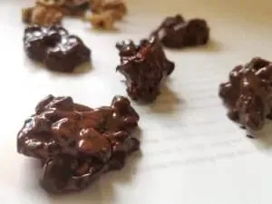 Chocolate Coated Walnuts