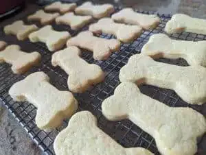 Dutch Shortbread Cookies (Zandkoekjes)